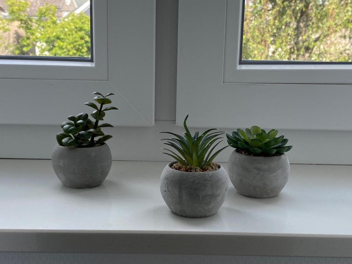 Apartment Nr. 8 Bad Laasphe Altstadt 외부 사진